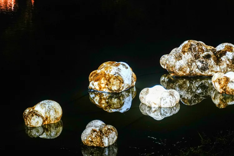 B07 人造保島計畫。田欣雲攝