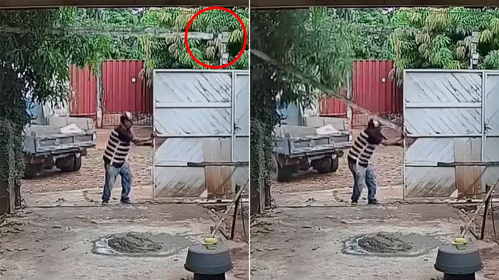 影片｜推開自家木門竟觸發「致命陷阱」　他被砸死在家門口