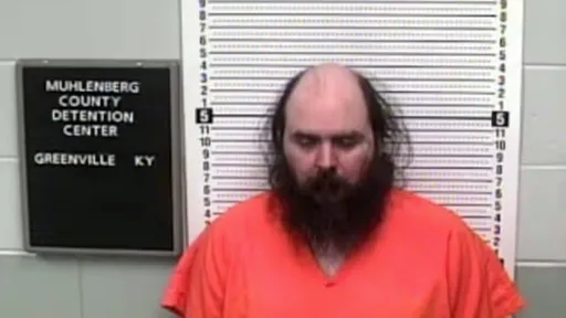 32歲男路旁「性侵死鹿」遭逮捕拘留　警揪出他下體有鹿毛