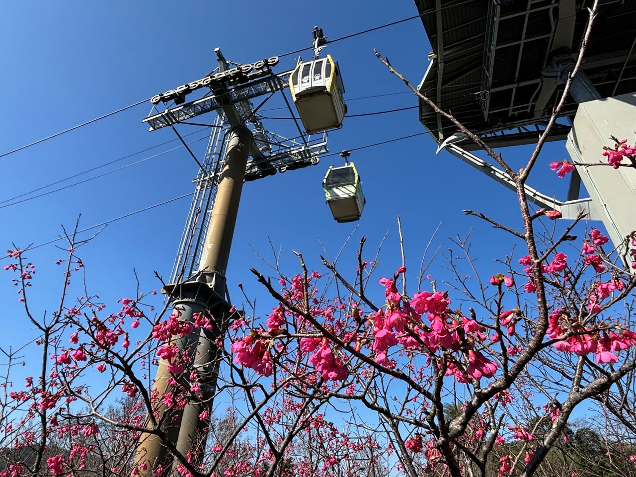 春節搭貓空纜車!觀景平台「天空綠洲」開放 LOVE裝置成打卡熱點