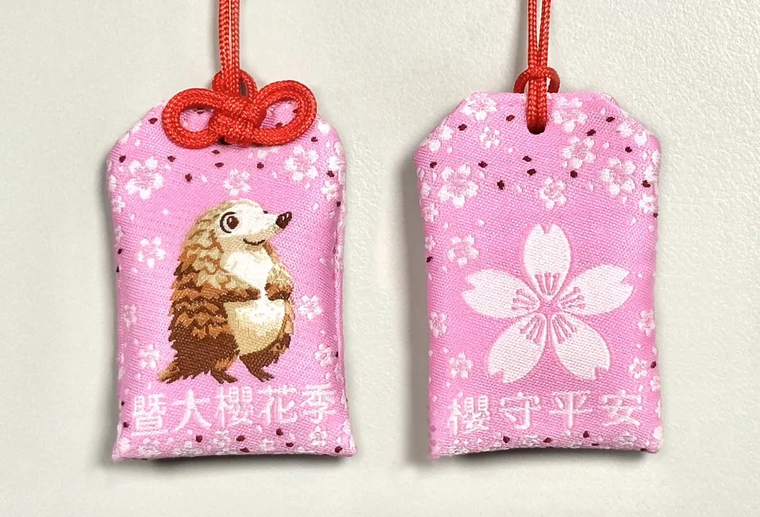 「櫻花季專屬御守」將校園神獸「穿山甲」與嬌嫩櫻花圖騰融入其中，每日限量贈送。暨南大學提供