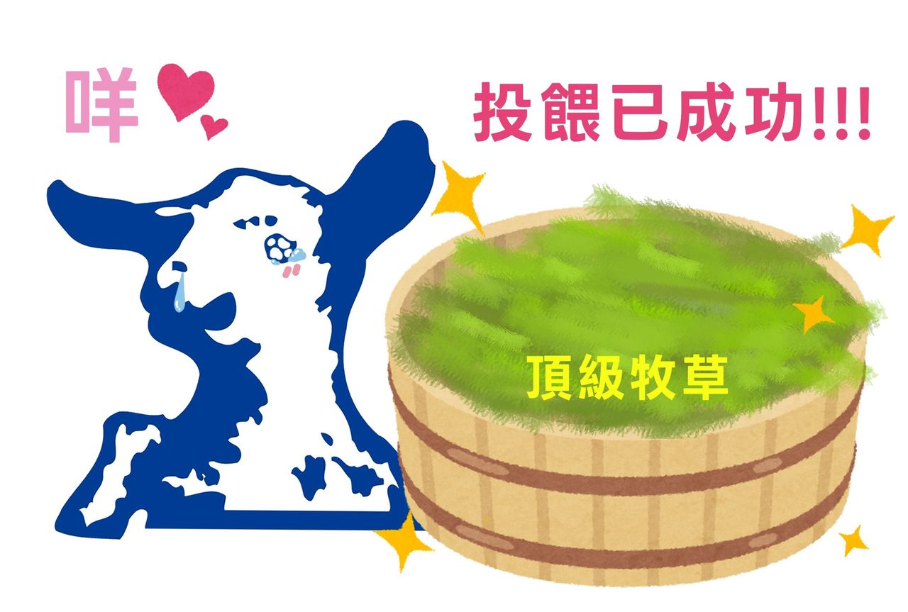 嘉南羊乳之亂!國軍、日商瘋搶羊編 甜喊:一起留在北海道