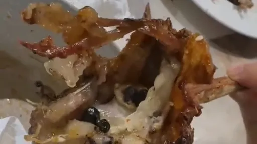 超噁烤全羊驚見「惡臭黑珍珠」　網諷：果然全羊連屎都給