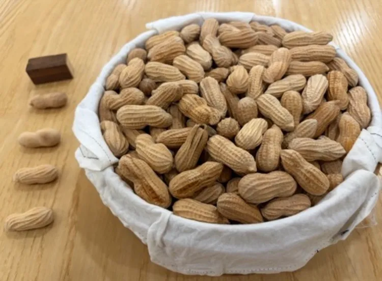 木雕花生寄送到日本參賽，還被海關當成是「堅果」扣留，差點就要被銷毀。莊曜聰攝