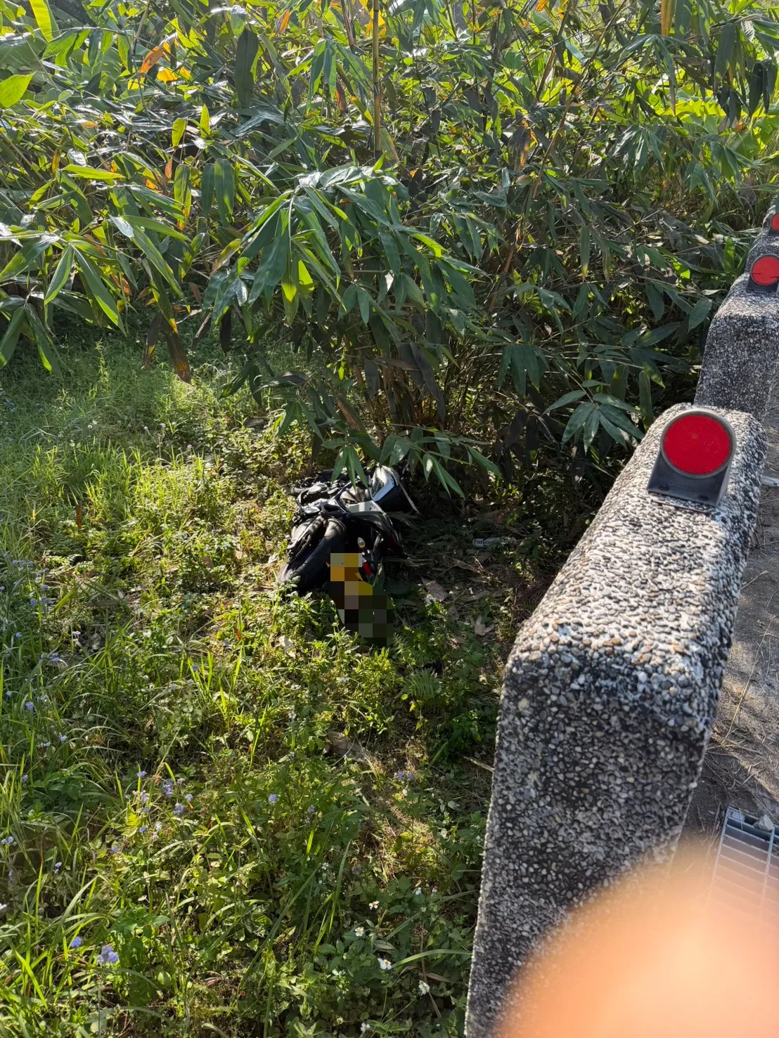 沈男的黃牌重機摔落邊坡。民眾提供