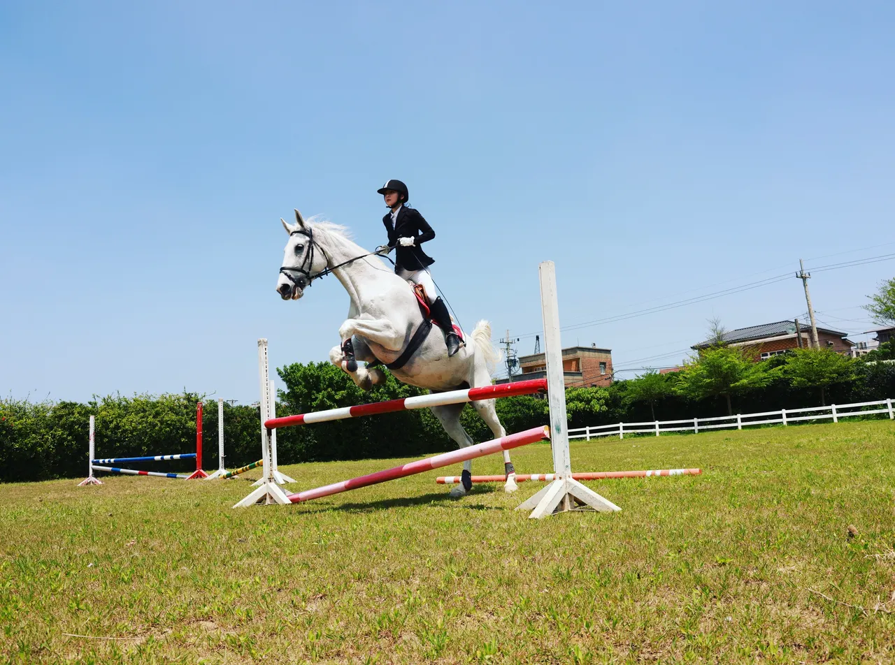 徐千京新春挑戰110公分跳障礙，穩定起跳展現訓練成果，為新年揭開好兆頭序幕。民視提供