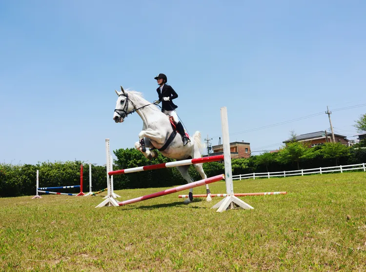 徐千京新春挑戰110公分跳障礙，穩定起跳展現訓練成果，為新年揭開好兆頭序幕。民視提供