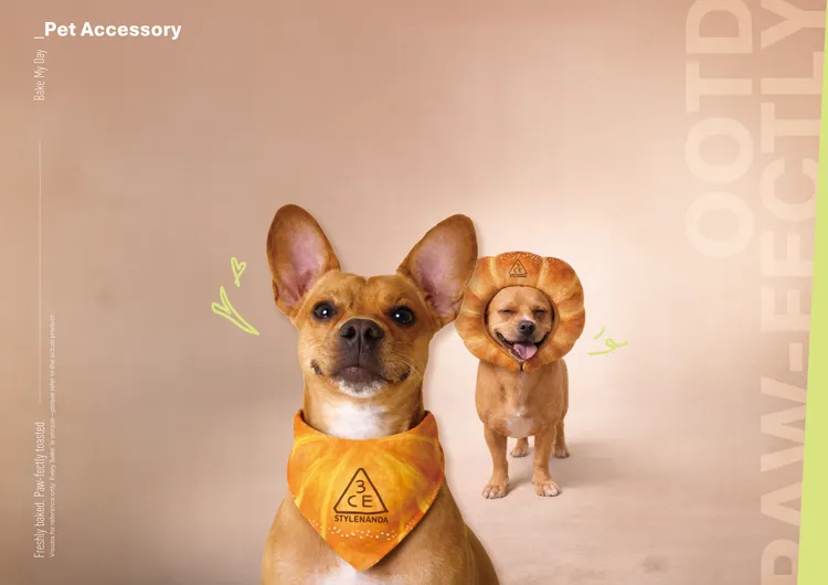 帶著家中毛小孩快閃店拍照打卡，就能兌換獨家寵物可頌頭套或領巾。品牌提供