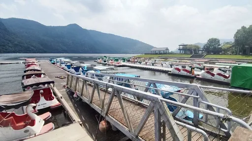 花蓮鯉魚潭天鵝船翻覆釀9歲童溺斃　旅遊網紅指2要命設計恐困住落水乘客