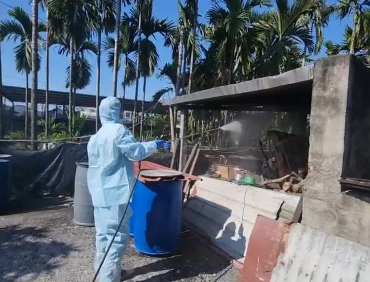 佳冬養豬場被查獲違規廚餘養豬，23日裁罰40萬元。翻攝畫面