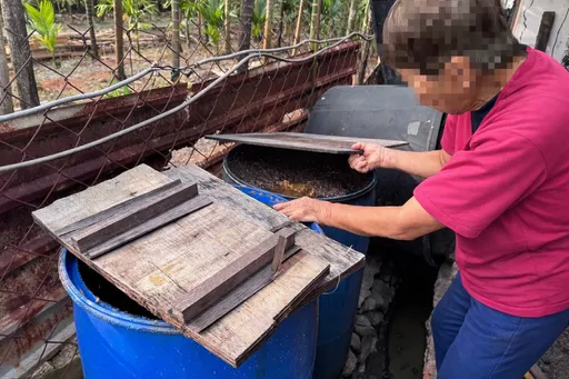 屏東查獲第6起豬場餵飼廚餘！重罰40萬　非洲豬瘟檢測結果出爐