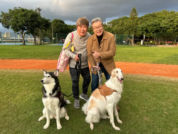 胡瓜和楊烈挑戰擔任狗保母。下面一位提供