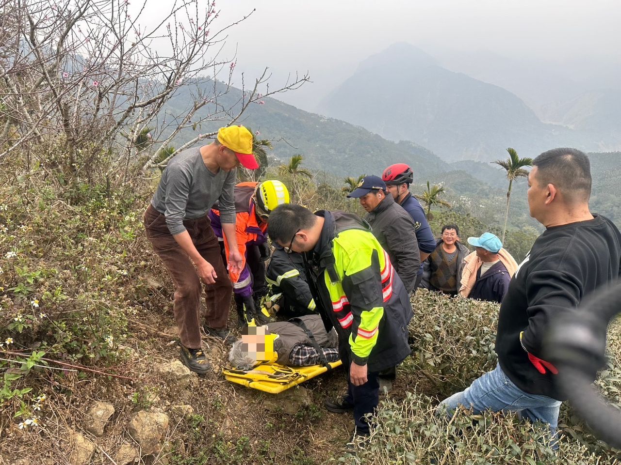 「飛太遠」!男駕車山區失控 飛越70公尺茶園墜竹林 警消馳援救一命