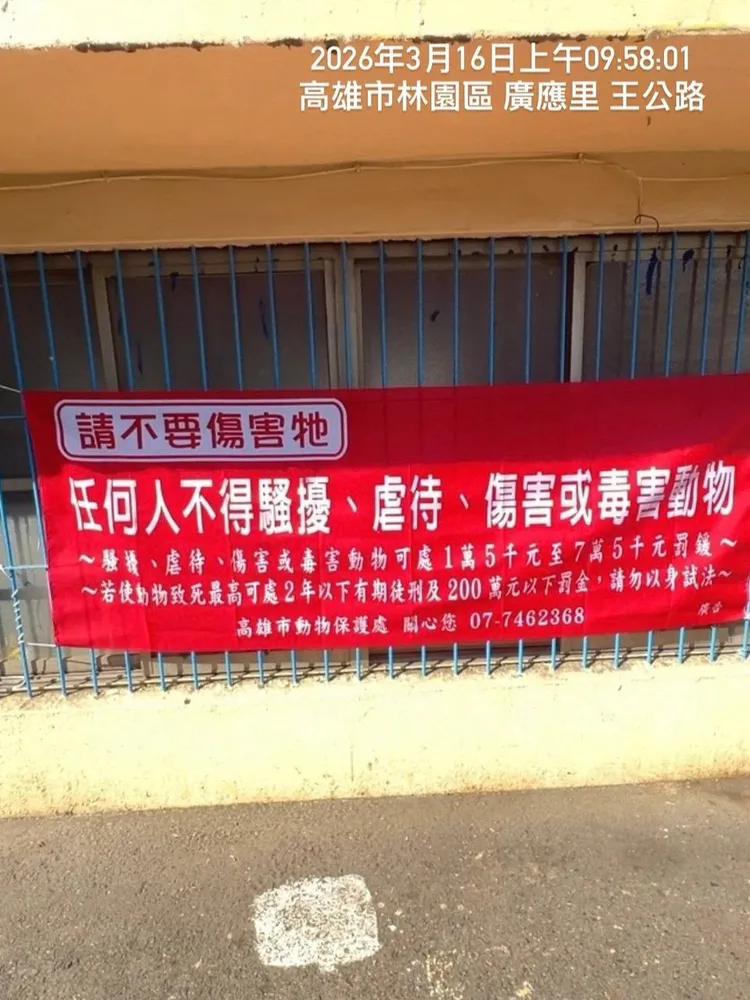 動保處於現場加強宣導並張掛「請勿毒殺動物」紅布條。翻攝畫面