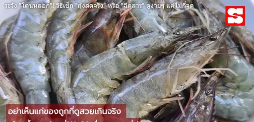 這樣做保證蝦鮮又Q彈　養蝦大國公開保鮮關鍵