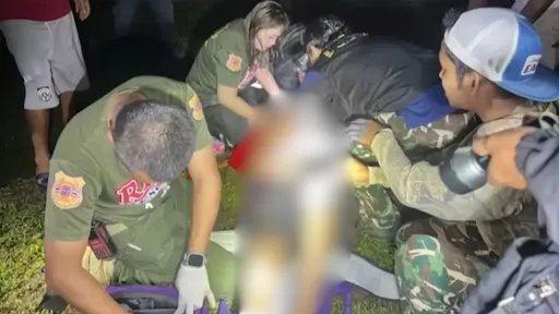 上廁所遭大象攻擊　八旬翁肺部撕裂、脾臟破裂身亡