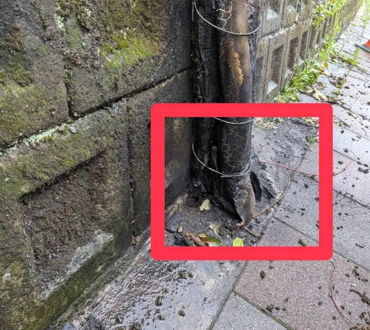 台電會勘後疑有遭外力破壞。桃園區處提供