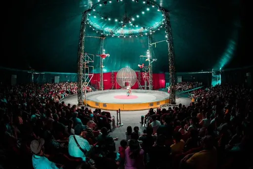 后里馬場馬戲團傳意外　15歲外籍少年4米高墜落！送醫治療