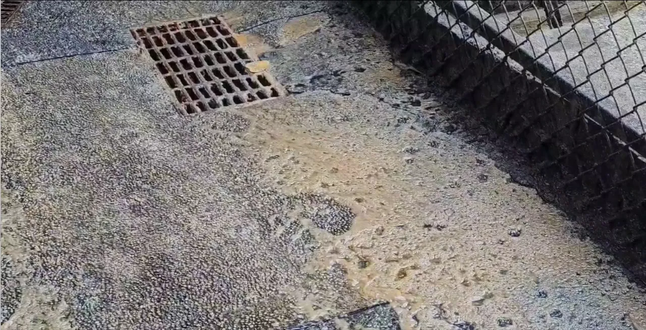 民眾發現仁三路29巷內地面都是油汙，氣的將相關情形PO上網路。翻攝照片