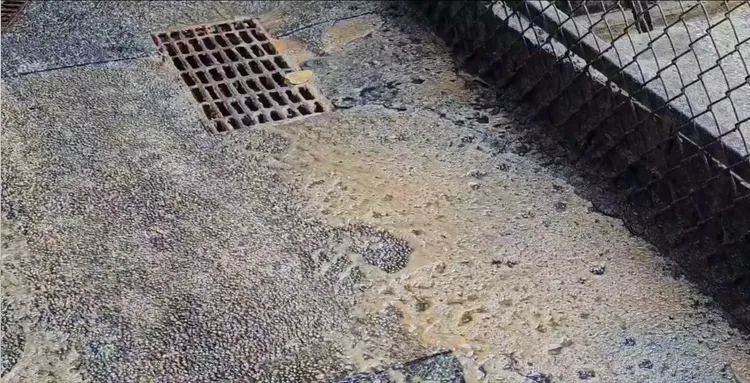 民眾發現仁三路29巷內地面都是油汙，氣的將相關情形PO上網路。翻攝照片