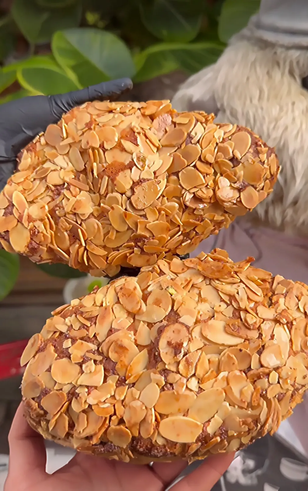 Teddy Beurre House的杏仁可頌，入口可感受豐富堆疊的奶油香氣。業者提供