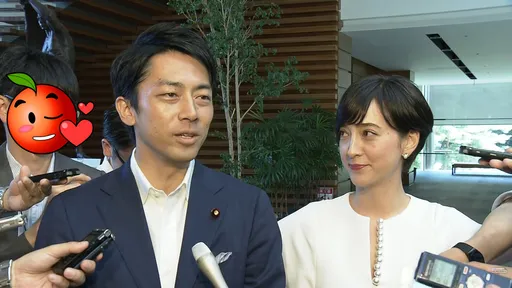 保密到家！小泉進次郎主播妻曝祕戀始末　竟出動影武者籌備婚禮