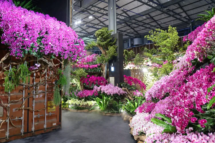 「邂逅・熱帶共生」展區建構沉浸式的「蘭花密道」。南市府提供