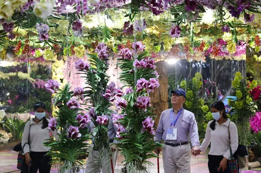 春遊台南正當時！　臺灣國際蘭展有看頭　噴墨蘭花重現世界名畫