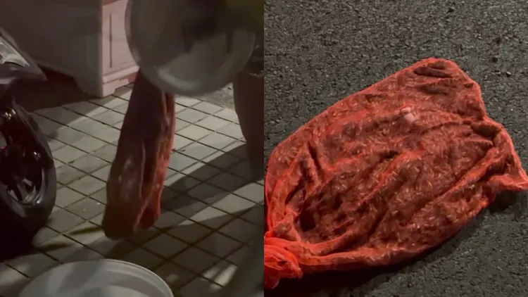 抓蜂大哥捕獲一大窩蜜蜂，並表示這袋初估達1500隻以上。畫面由Threads網友「@qian_1212_」授權提供