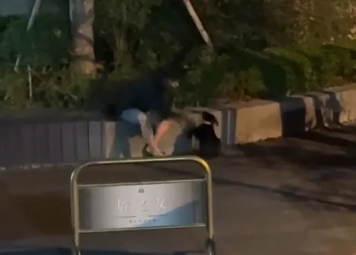 台中叼菸男路邊虐狗引眾怒　黑犬「這動作」令人不捨！動保處出手