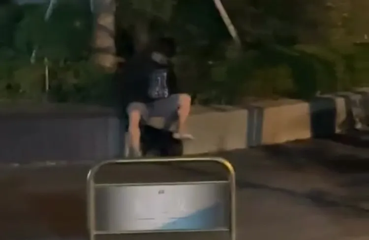 黑狗疑被打到受不了，蹭向主人身體，令網友看了十分不捨。翻攝Threads