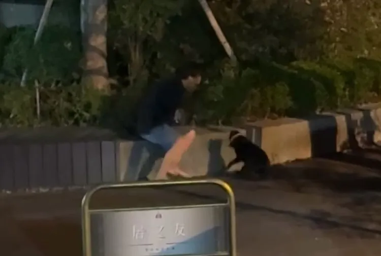 台中市動保處已報警追查。翻攝Threads