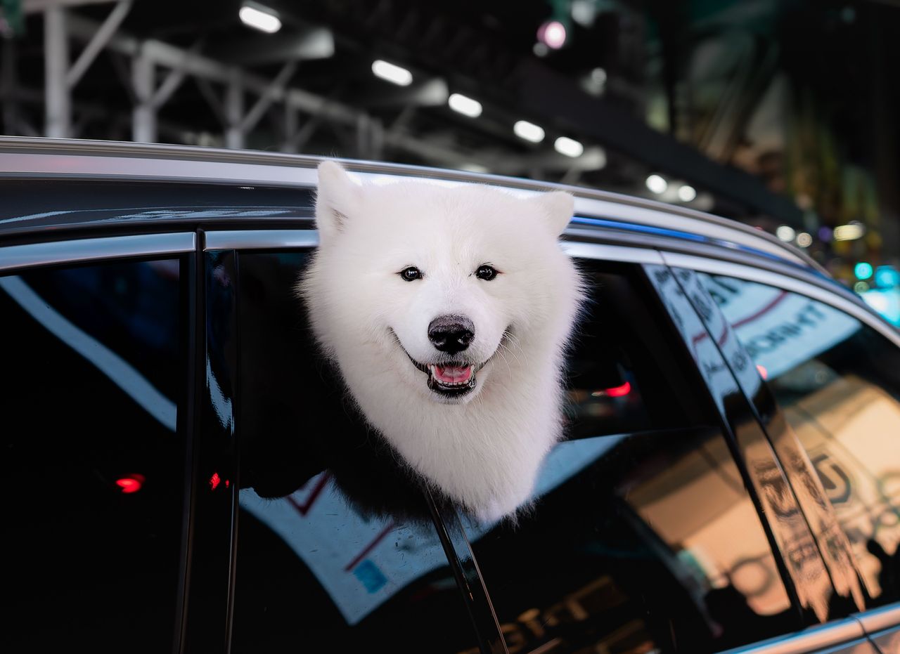 土星合日來襲!專家點名4生肖 職場翻身關鍵時刻