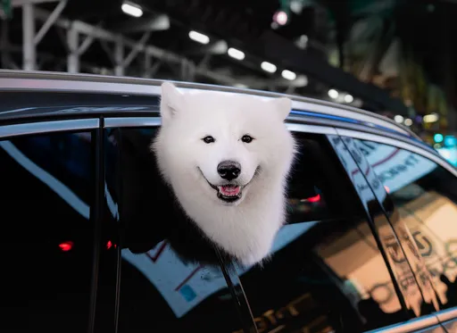 土星合日來襲！專家點名4生肖　職場翻身關鍵時刻