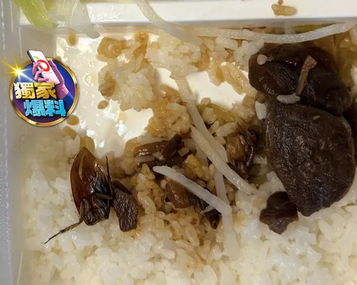 獨家爆料｜便當內驚見蟑螂半隻！業者稱蟑螂自己飛進去　衛生局出手了