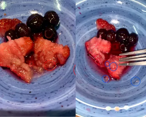 衛生局稽查好市多！冷凍草莓「一堆白色小蟲」　他吃到剩1顆超崩潰