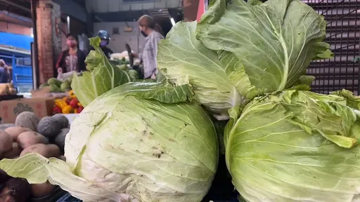 台灣高麗菜外銷爆量！3個月衝840公噸　韓國馬來西亞搶著買