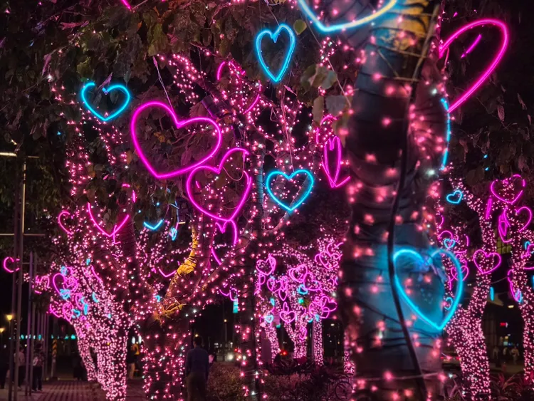 夜景表現上相當可圈可點。趙筱文攝