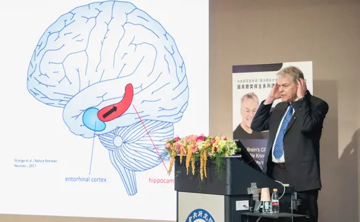 從「大腦的GPS」談起！諾貝爾生醫獎得主愛德華．莫澤揭開人類定位之謎