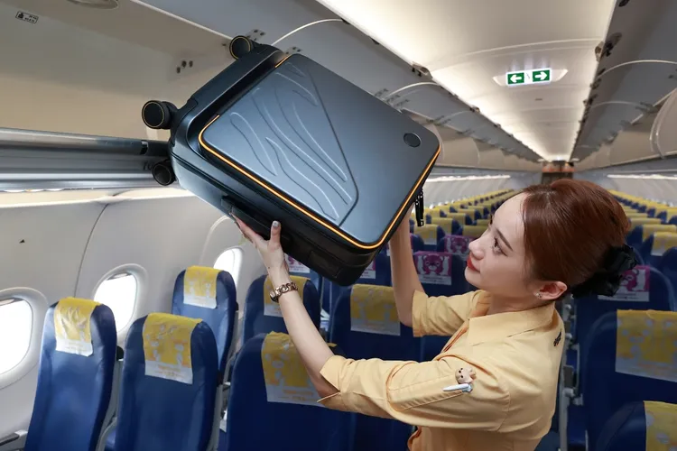 除機票優惠外，訂閱制會員還能以超值價格，額外加訂30公斤託運行李額度。虎航提供