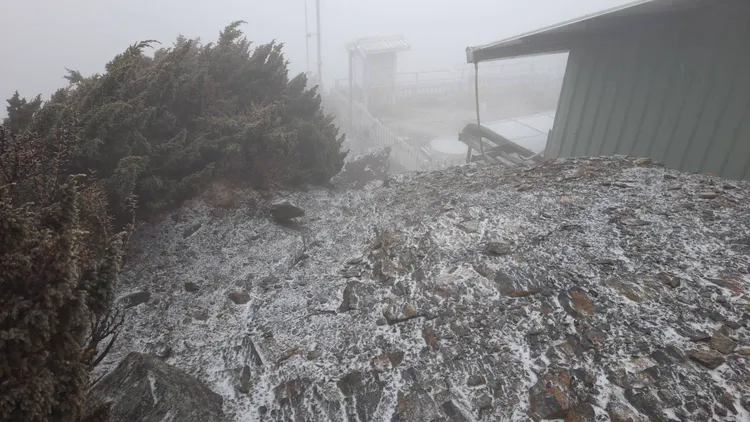 玉山頂上霧雪交織，雪花輕覆岩石與樹叢。氣象署提供