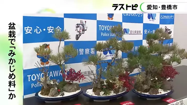 警方帶回強賣的盆栽。FNN YouTube