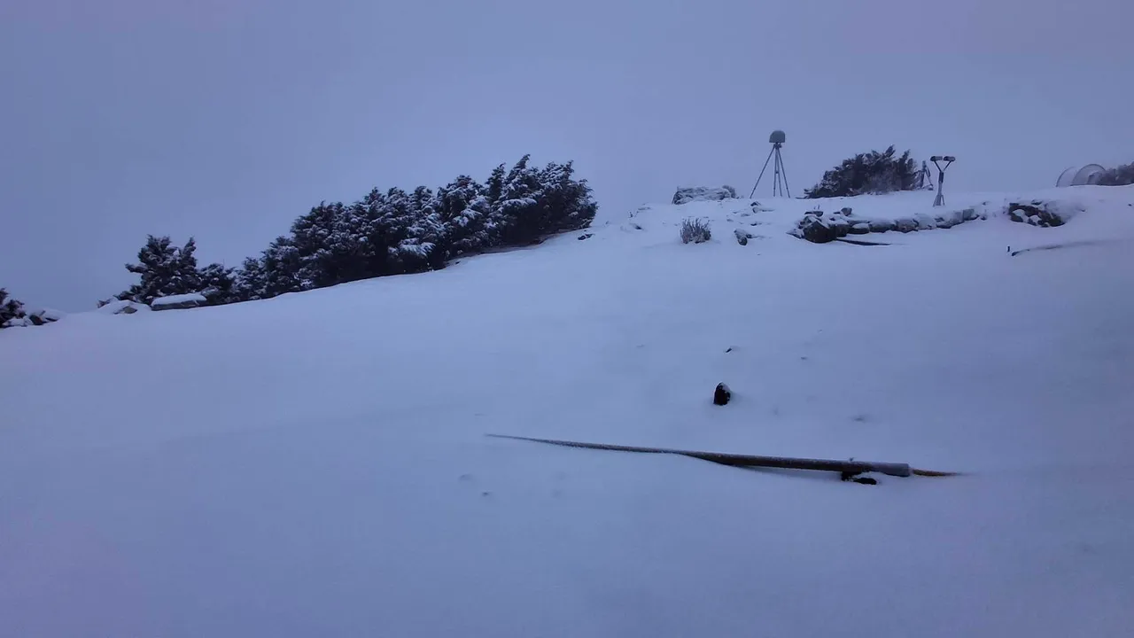 玉山主峰目前積雪10公分。氣象署提供