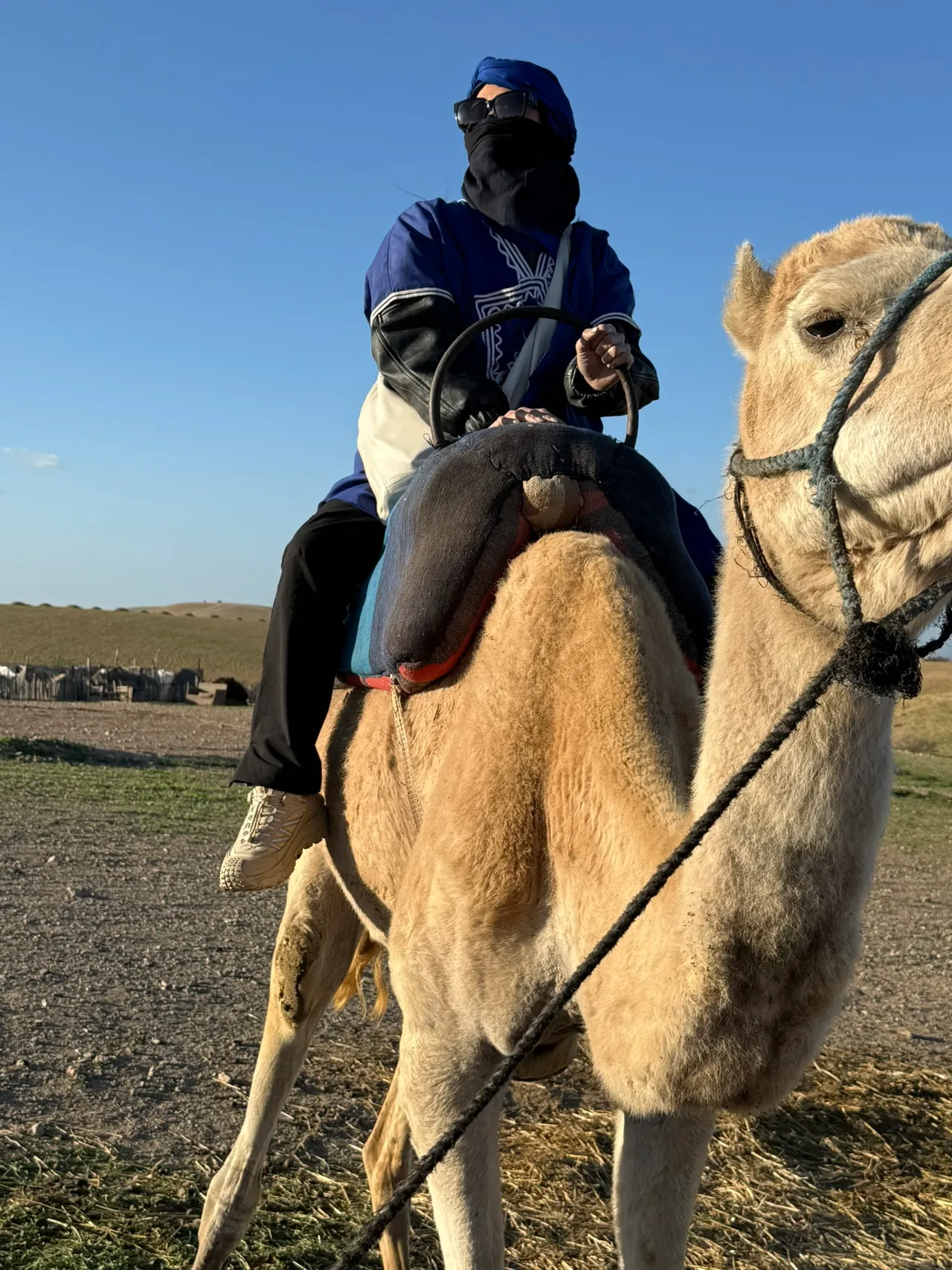 蔡健雅在摩洛哥騎駱駝時，被駱駝騷動勾起墜馬恐懼。躍耳娛樂提供