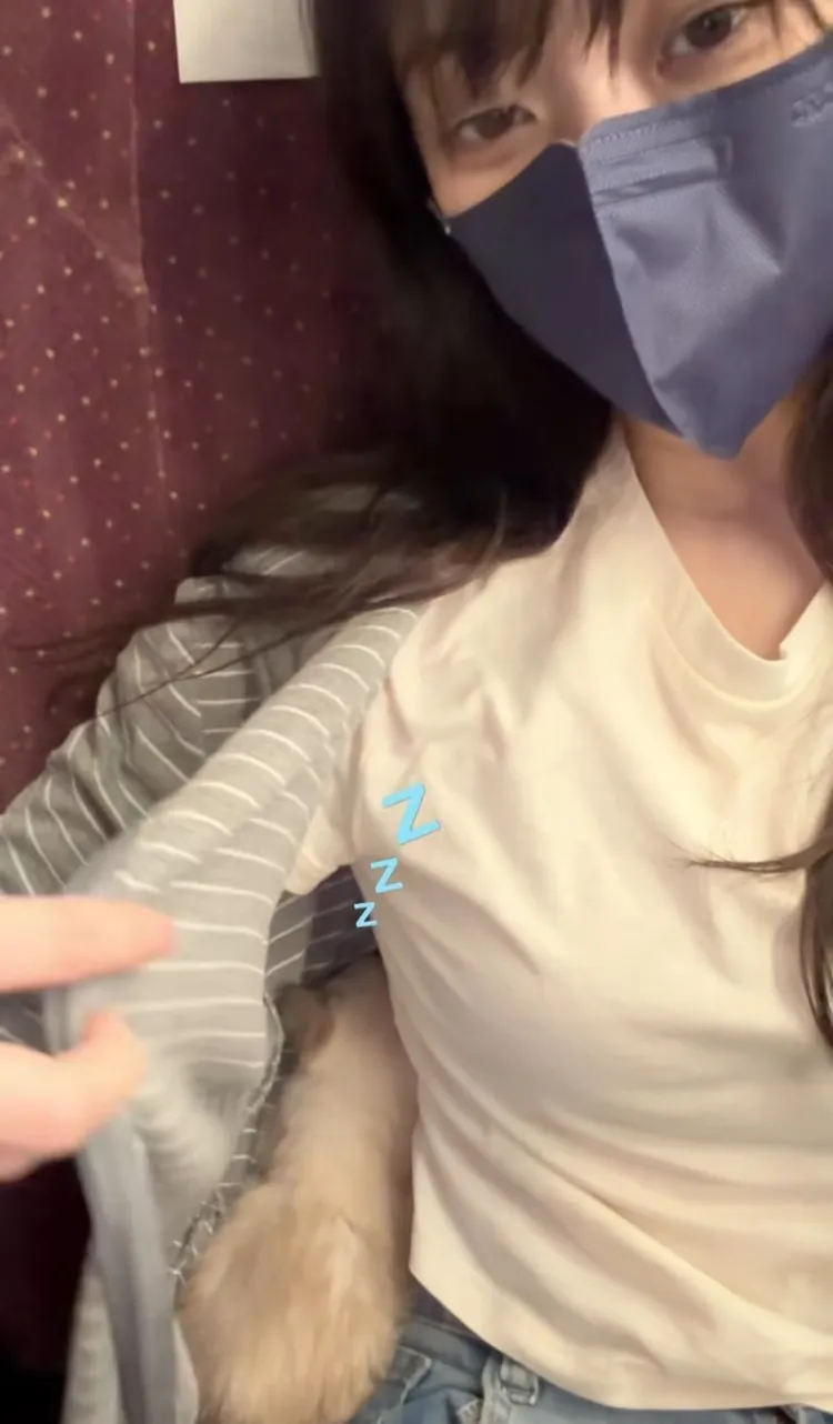 林逸欣將貓放出籠。翻攝林逸欣Threads