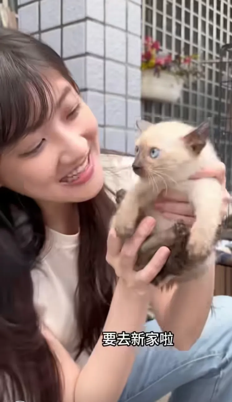 林逸欣在台南老家撿到3隻流浪幼貓。翻攝林逸欣臉書