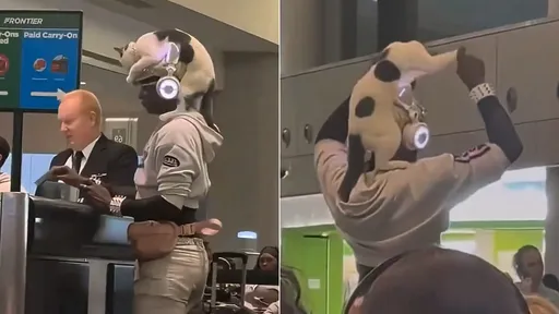 「貓咪偽裝帽子」趴頭頂陪登機影片瘋傳　超狂飼主身分曝光