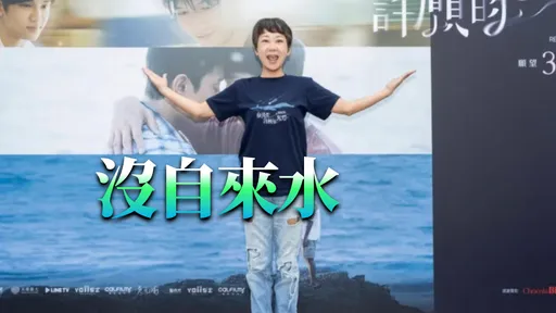 曹蘭氣炸！台東450坪住家竟變景點　導遊帶團參觀她怒拆門牌