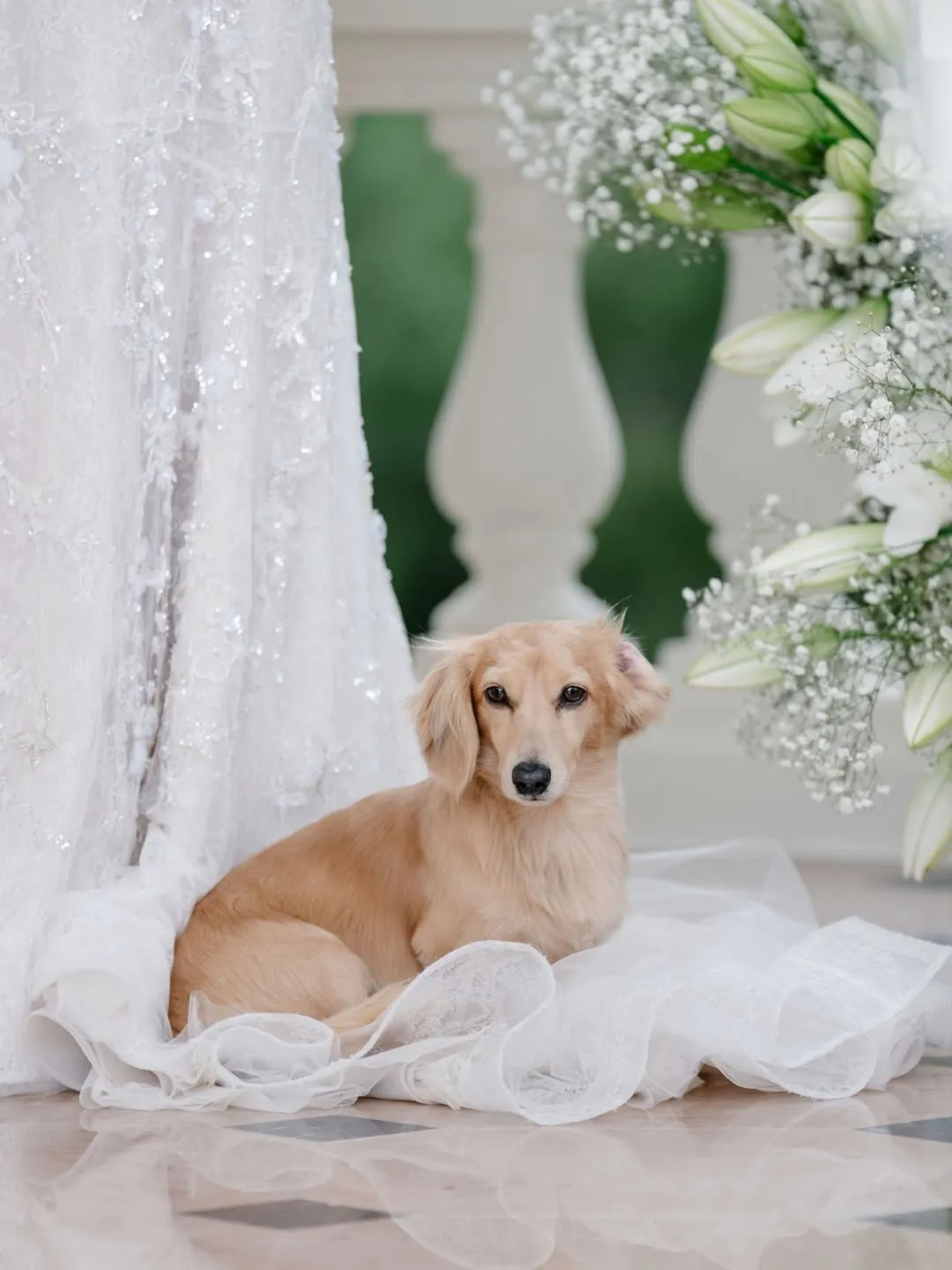 兩人的愛犬LEO也沒缺席。翻攝IG