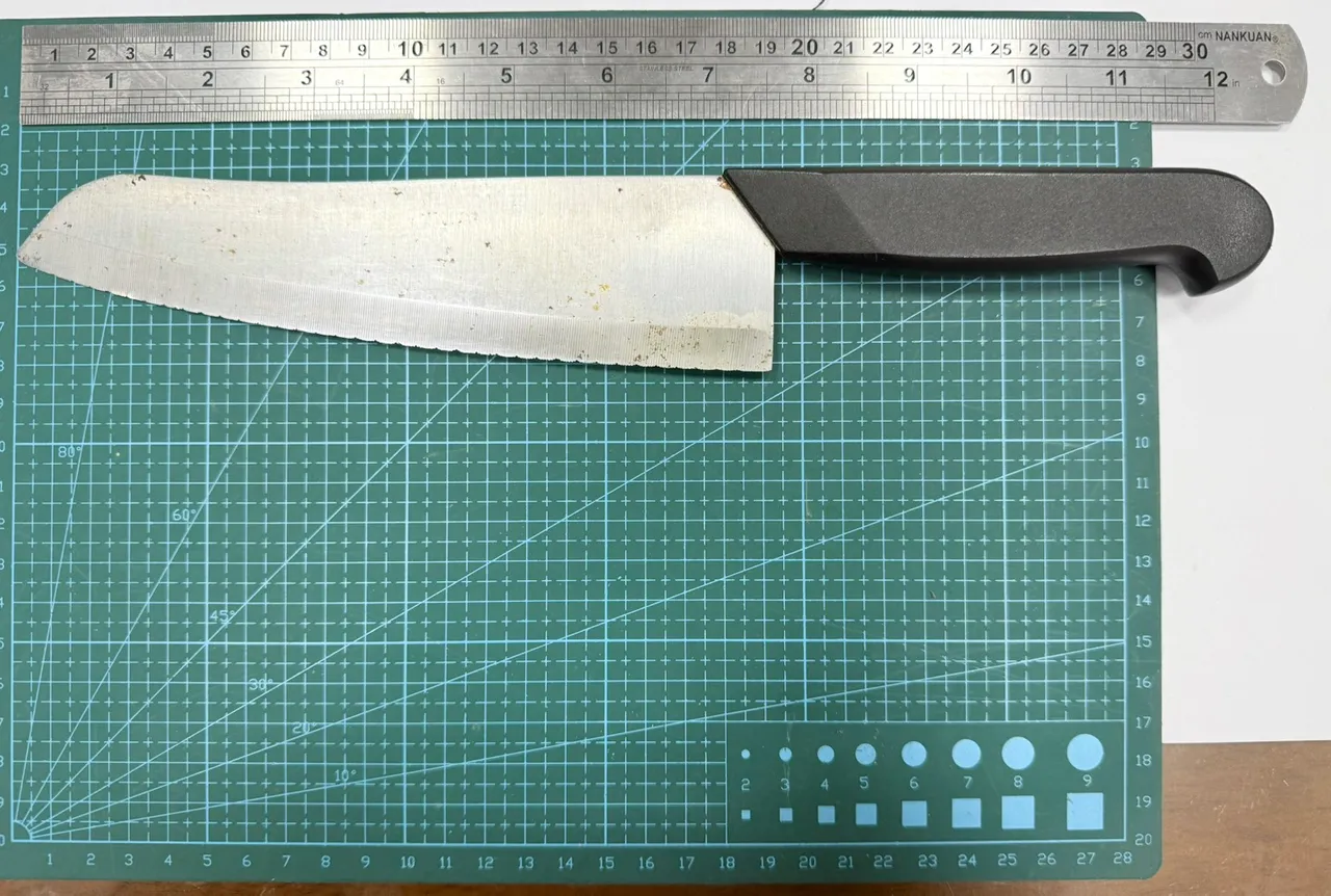 李男所攜帶的水果刀。翻攝畫面